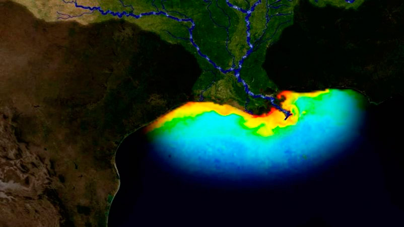 Leisa La enorme zona muerta en el Golfo de México tardará décadas