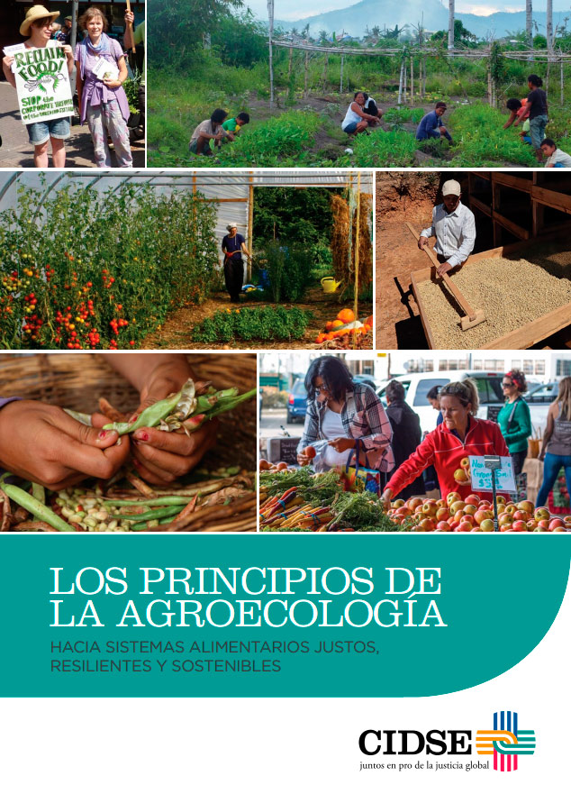 Leisa Los Principios De La Agroecología Hacia Sistemas Alimentarios