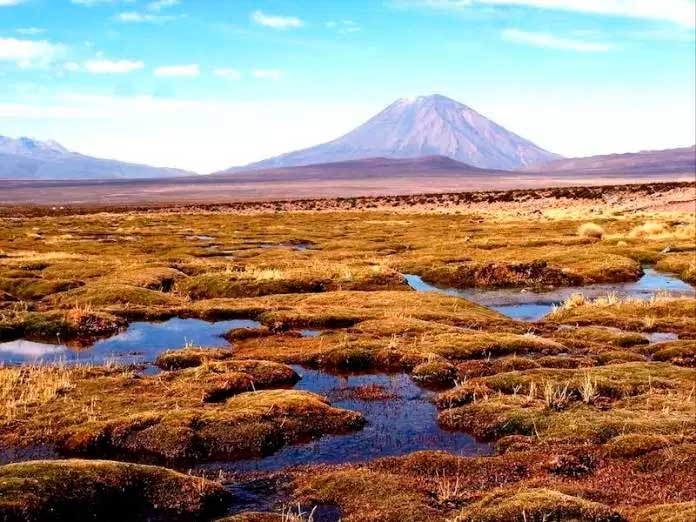 Leisa Congreso De Ecosistemas Altoandinos De Puna 2019