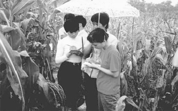 Agricultoras tomando notas en un campo de maíz / Foto: Yiching Song