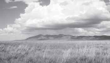 Esta foto muestra la planicie conocida como Animas Valley en el suroeste de Nuevo México, y que hace parte del Gray Ranch, propiedad de los casi veinte propietarios que pertenecen al Grupo Malpai / Foto: D. Imhoff