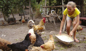 Crianza de gallinas en traspatio familiar (Lagoa Seca, Brasil) / Foto: Archivos AS-PTA, Brasil