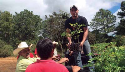 Actividades de reforestación promovidas por Capucas. Archivos de Capucas 2013