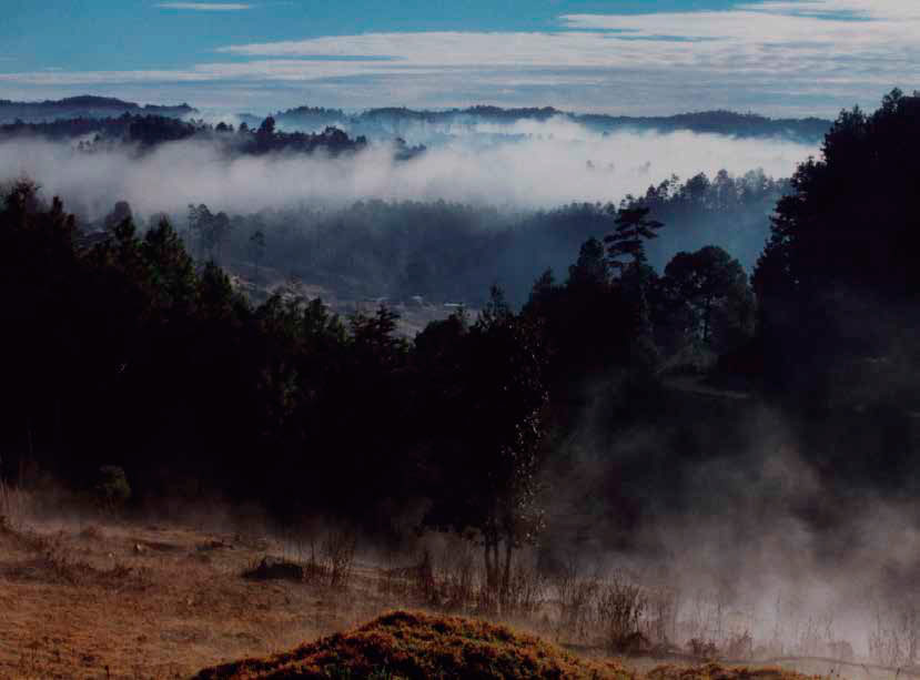 Neblina matinal característica en los meses de noviembre a febrero. Sobre los 2 500 m s.n.m. el clima limita la actividad agrícola entre marzo y octubre. Autor