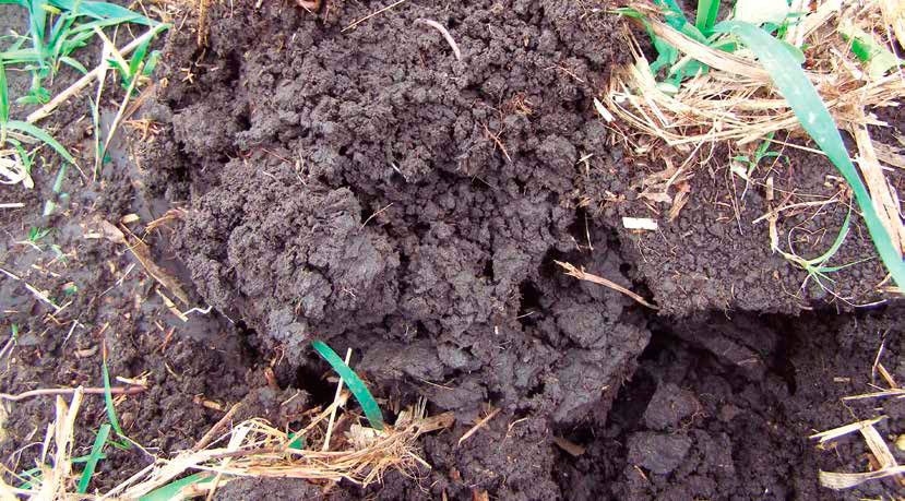 La incorporación de materia orgánica en el suelo incrementa la retención de agua disponible para los cultivos. Autores