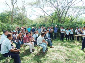 Encuentro de agricultores en una finca cafetalera para validar las experiencias de un agricultor en manejo de hormigas depredadoras / Foto: Autor