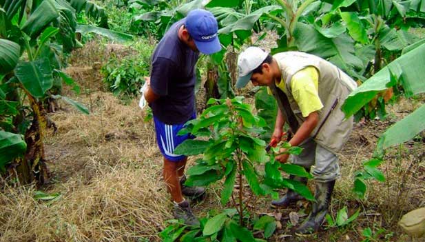 Leisa - Curso sobre Desarrollo Agrario y Economía Verde