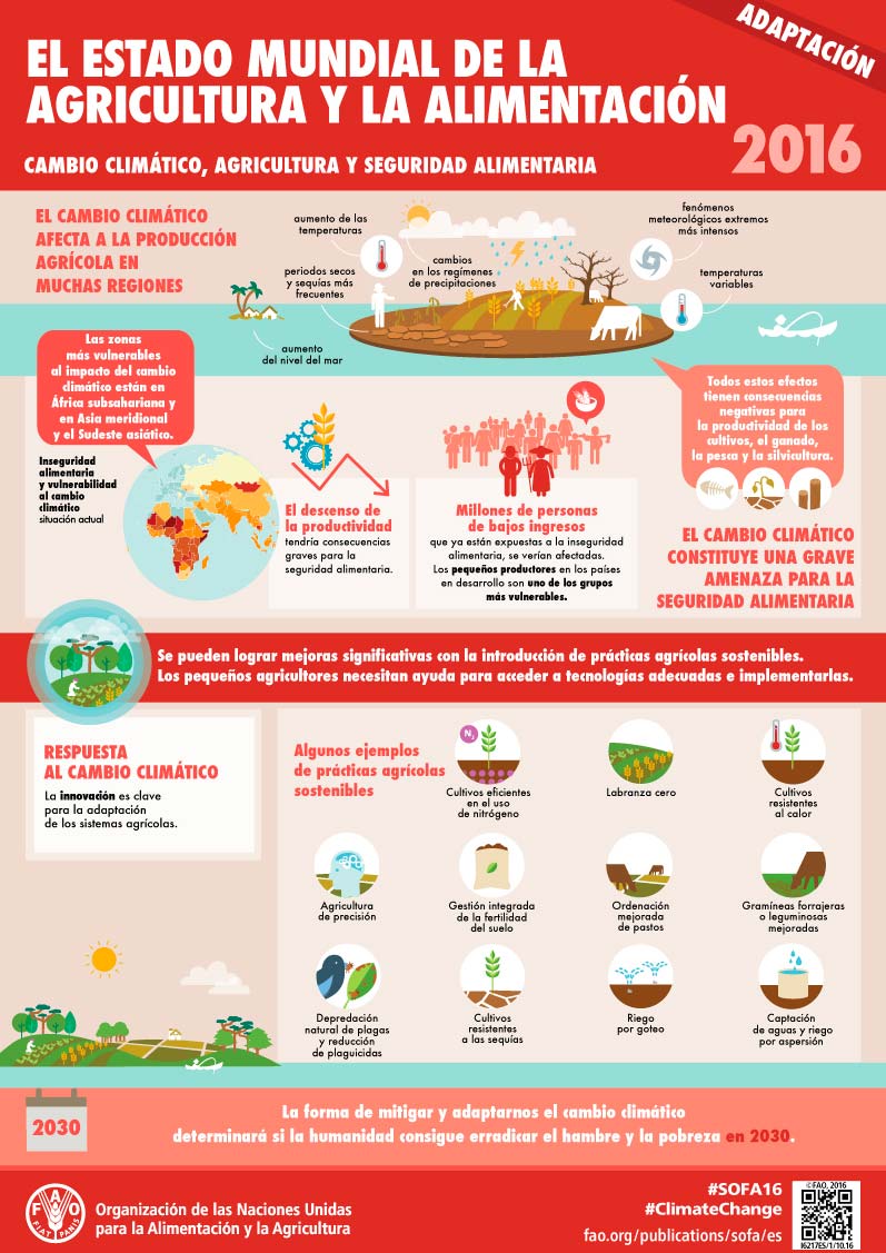 El estado mundial de la agricultura y la alimentación 2021: Lograr