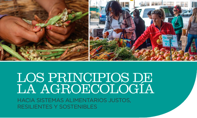 Leisa - Los Principios De La Agroecología. Hacia Sistemas Alimentarios ...