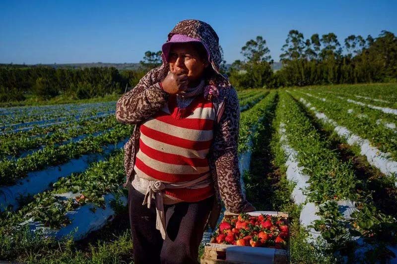 Leisa ¿pueden Convivir El Modelo Del Agronegocio Y La Soberanía