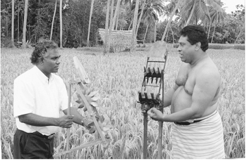 En Sri Lanka, los agricultores están desarrollando una nueva herramienta manual para el deshierbe con el fin de lograr que el SIA sea menos intensivo en mano de obra / Foto: Norman Uphoff