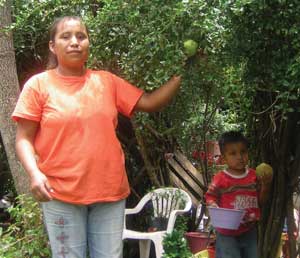 Mujer campesina de Progreso Hidalgo, Estado de México, en compañía de su hijo, recolecta frutos en su huerto para complementar la dieta alimentaria de su familia / Foto: Víctor M. Suárez Gómez