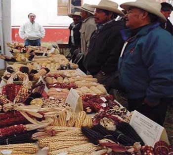 Feria del maíz, Pátzcuaro L. Solís