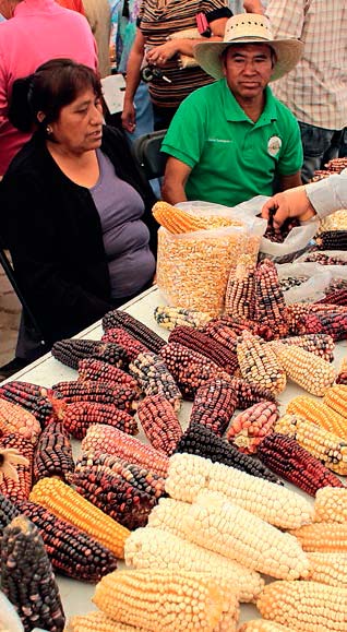 Feria del Maíz y de las Semillas Nativas en la comunidad de Vicente Guerrero, Tlaxcala, México. Juliana Merçon