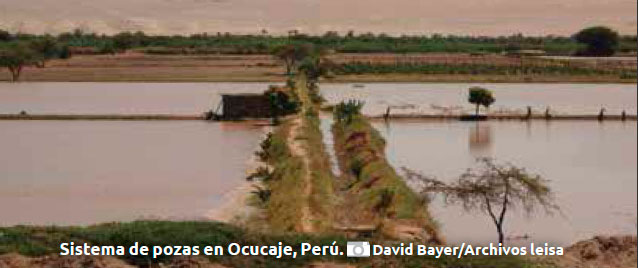 Sistema de pozas en Ocucaje, Perú. David Bayer/Archivos leisa